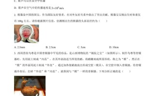 2023年山 西省中考物理试题-【免费下载】