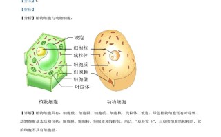 2022年辽宁省盘锦市 中考生物真题-【免费下载】