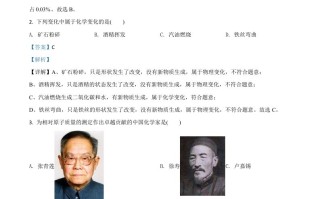 海南省2020年中考化学 试题-【免费下载】