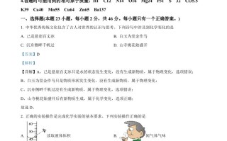 2023年湖南省衡阳市中考 化学真题-【免费下载】