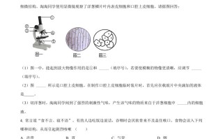 2022年湖南省怀化 市中考生物真题-【免费下载】