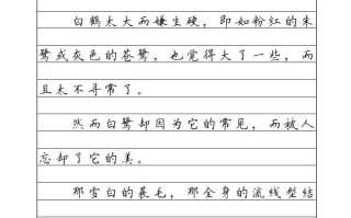 五年级语文册横线格-【免费下载-高清无水印】【语文电子版可打印】