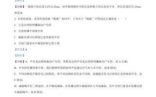 2022年湖南省岳阳市中考物理试题 -【免费下载】