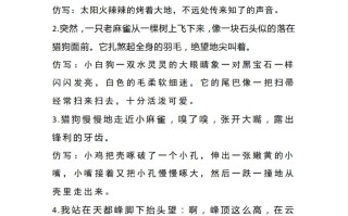 四语文重点第5单元重点句子仿写-【免费下载-高清无水印】【语文电子版可打印】