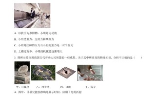 2023年山东省济宁市中考物理试 题-【免费下载】