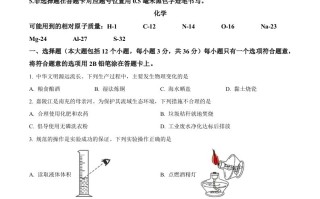 20 24年四川省南充市中考化学真题-【免费下载】