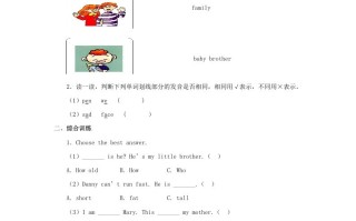 二年级英语册MyFamily习题第3课时-【免费下载-高清无水印】【英语电子版可打印】