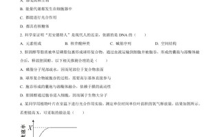 2024 年高考生物试卷-【免费下载】