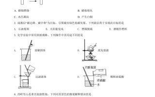 2022年 四川省成都市中考化学真题-【免费下载】