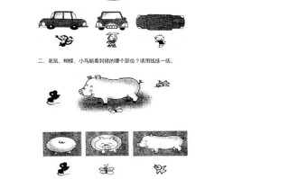 二年级数学册观察物体练习题-【免费下载-高清无水印】【数学电子版可打印】