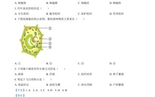 2024年福建省中考生物试题-【免费下载】