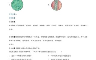 北京市2020年八年级中考生 物试题-【免费下载-高清无水印】【中考真题电子版可打印】