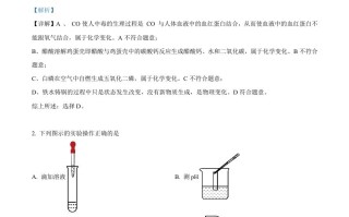 2023年湖南省郴州市中考化学真题-【免费下载-高清无水印】【中考真题电子版可打印】