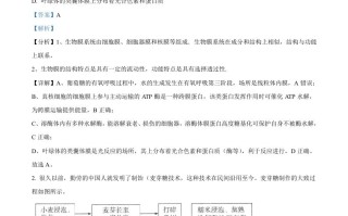 2021年高考生 物试卷-【免费下载】