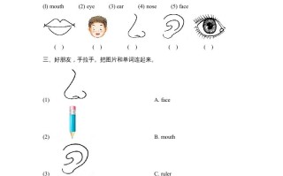 一年级英语册Unit2_Lesson1课时训练-【免费下载-高清无水印】【英语电子版可打印】