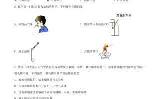 2022年贵州省铜仁 市中考化学真题-【免费下载】