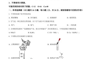2023年新疆中考化 学真题-【免费下载】