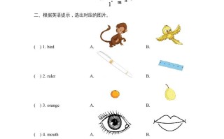 一年级英语册期末测试卷-【免费下载-高清无水印】【英语电子版可打印】