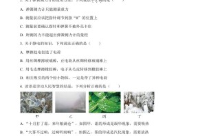 2022年山东省东营市中考物理试题 -【免费下载】