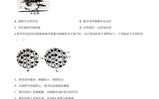 山东省潍坊市2020年中考生物试题-【免费下载-高清无水印】【中考真题电子版可打印】