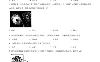 2022年山西省太原市学业水平测试生物真题-【免费下载-高清无水印】【中考真题电子版可打印】