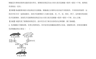 江苏省苏州市2020年学业考试生物试题 -【免费下载】