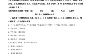 山东省东营市2020年中考化学试题 -【免费下载】