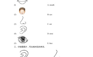一年级英语册Unit2_Lesson3课时训练-【免费下载-高清无水印】【英语电子版可打印】