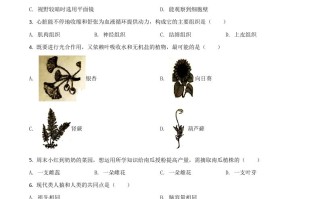 湖南岳阳市2020年中考生物试 题-【免费下载】
