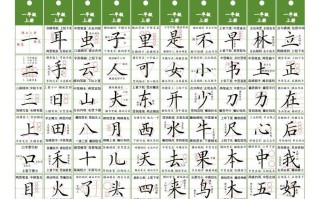 一年级册语文同步精讲字卡-【免费下载-高清无水印】【语文电子版可打印】