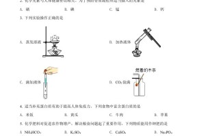 2022年辽宁省 沈阳市中考化学真题-【免费下载】