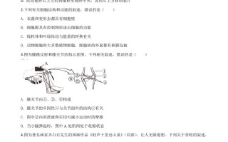 四川省 内江市2020年中考生物试题-【免费下载】