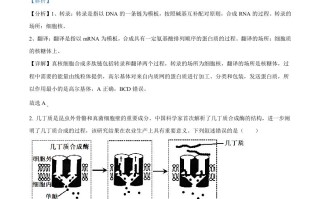 2023年高考生物 试卷-【免费下载】