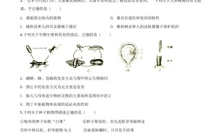 湖南省衡阳市2020中考生物试题-【免费下载-高清无水印】【中考真题电子版可打印】