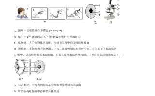 2023年 山东省临沂市中考生物真题-【免费下载】