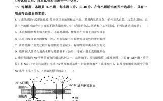 20 24年高考生物试卷-【免费下载】