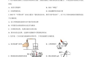 2023年 山东省聊城市中考化学真题-【免费下载】