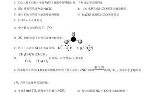2024年高考 化学试卷-【免费下载】