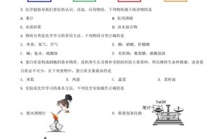 四川 省自贡市2021年中考化学试题-【免费下载】